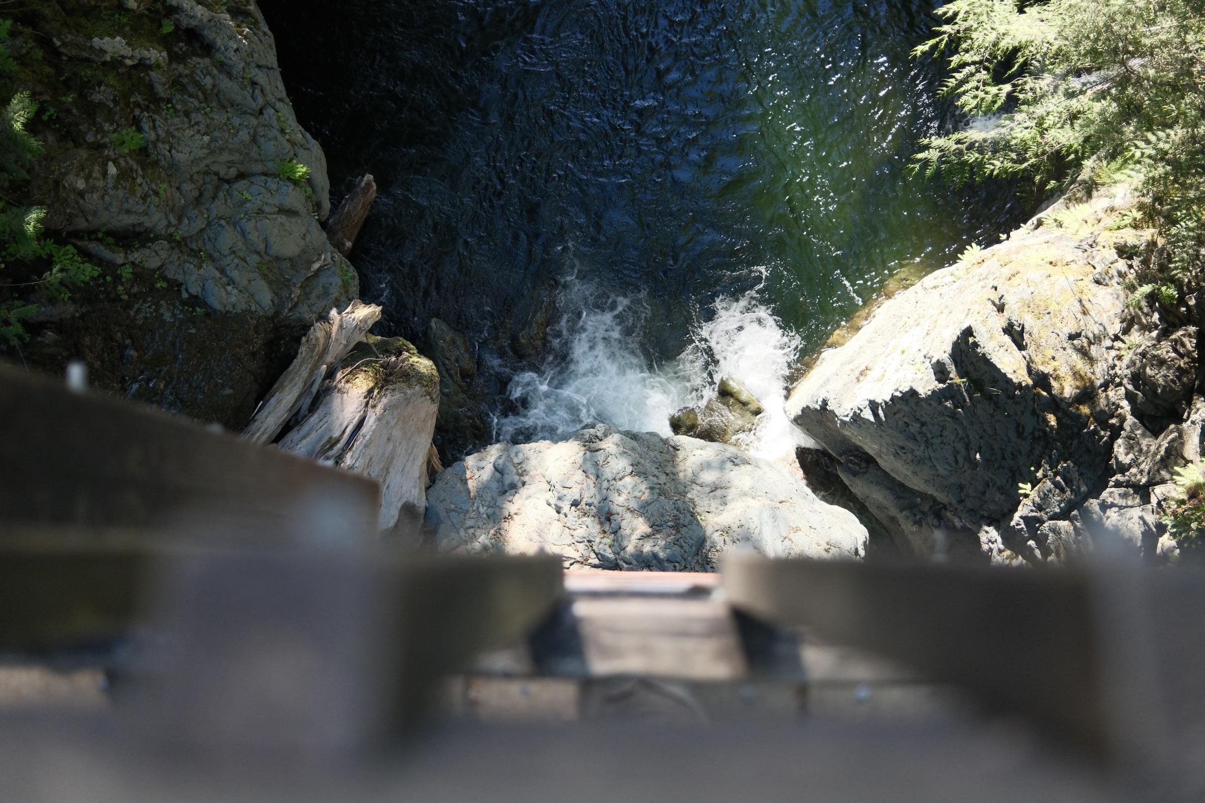 Water falling into a dark pool below a forest footbridge